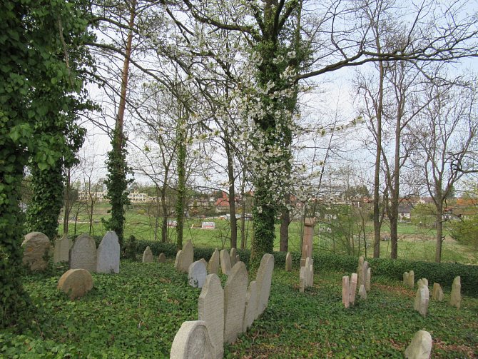 Židovský hřbitov Tučapy.