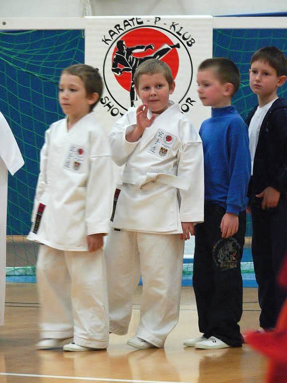 Táborský oddíl Karate-P-Klub založil Josef Pěknic z Tábora již v roce 1989.