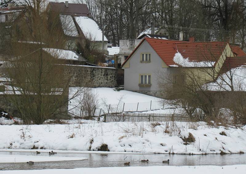 V malochovu drůbeže V Dlouhé Lhotě odhalila Státní veterinární správa první ohnisko ptačí chřipky na Táborsku. Nákazu do chovu nejspíš zavlekly divoké kachny z Návesního rybníka.