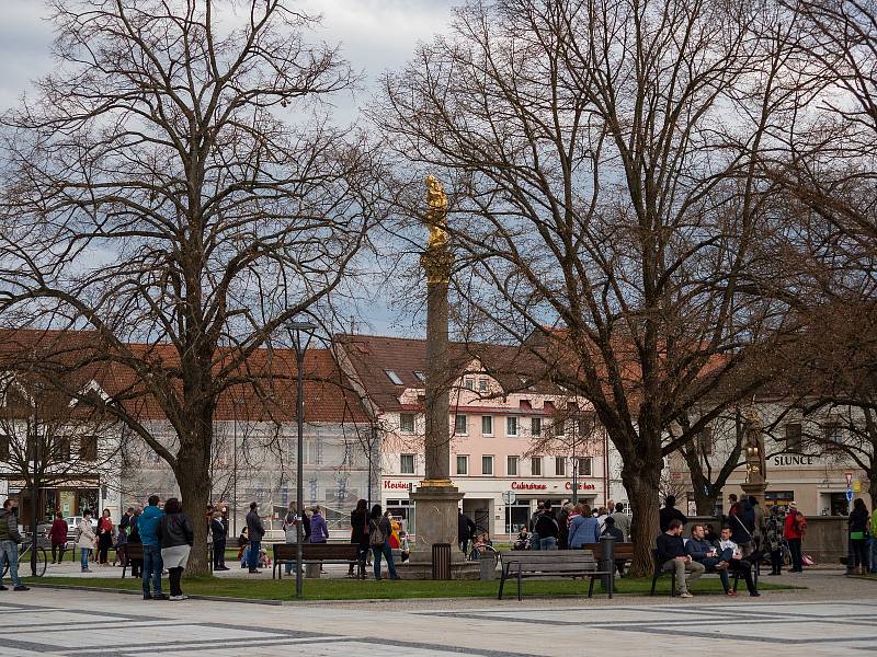 Demonstrace Hrad za hranou, republika v ohrožení v Soběslavi.