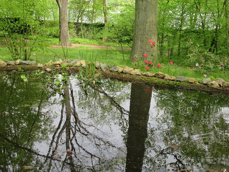 Návštěvník může v arboretu obdivovat evropské a cizokrajné dřeviny. Hlavní výzkumný program představuje užitkové rostliny. Zahrada je volně přístupná bez výběru vstupného.