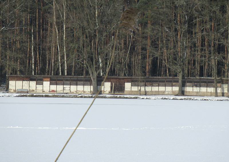 Kachní farma Strkov v Plané nad Lužnicí je jeden z velkochovů drůbeže na Táborsku v tzv. pásmu dozoru, nachází se ve vzdálenosti do deseti kilometrů od ohniska v Dlouhé Lhotě.