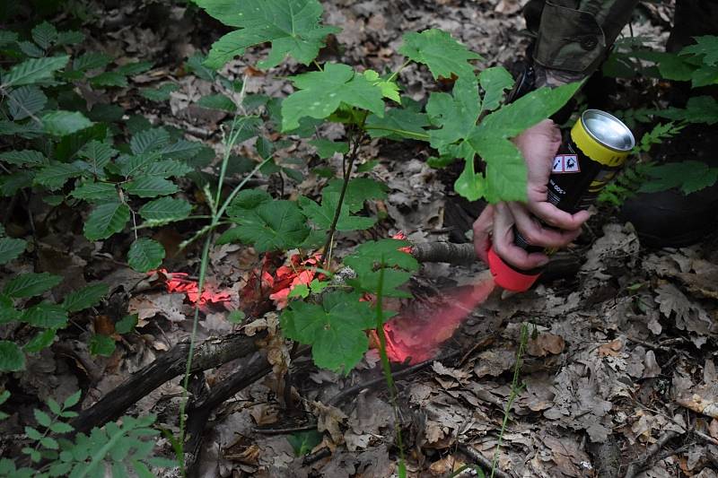 Pyrotechnická očista v chráněné krajinné oblasti Brdy opět pokračuje. Po nucené pauze kvůli onemocnění COVID-19 se do určených oblastí vrátili vojáci 15. ženijního pluku, kteří tady vyhledávají starou munici či její zbytky.