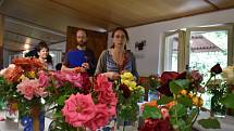 V Táboře se koná třídenní výstava růží.