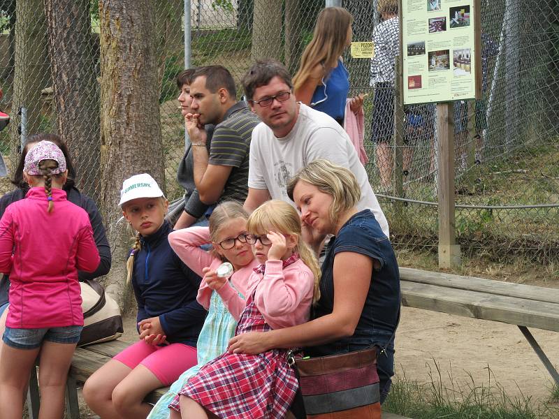 Sobotní a nedělní krmení vybraných druhů zvířat v Zoo Tábor láká návštěvníky.