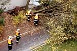 Odstraňování spadlého stromu v Sokolovské ulici na severním pomezí města.