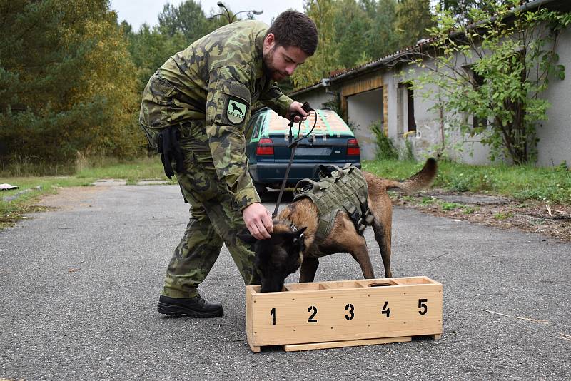 Bechyňským pyrotechnikům pomáhají s vyhledáváním výbušnin i psi.