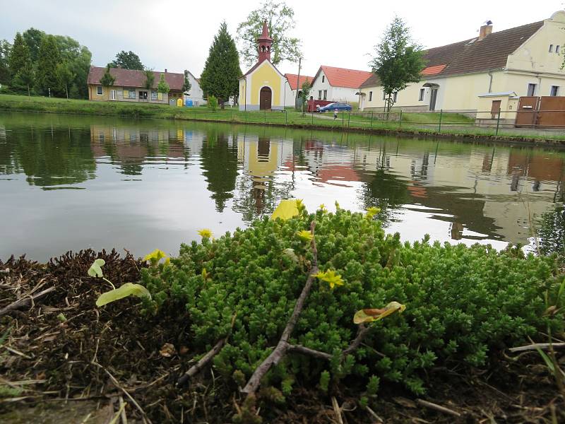 Košice se nachází nedaleko Soběslavi v jihočeském kraji. Historie obce sahá až do 13. století. Obec se skládá za tří místních částí Košice, Doubí a Borek.