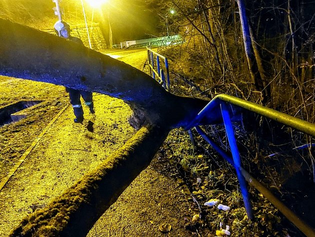 Hasiči na jihu Čech řešili spadané stromy celou noc. Energetici bojují s výpadky