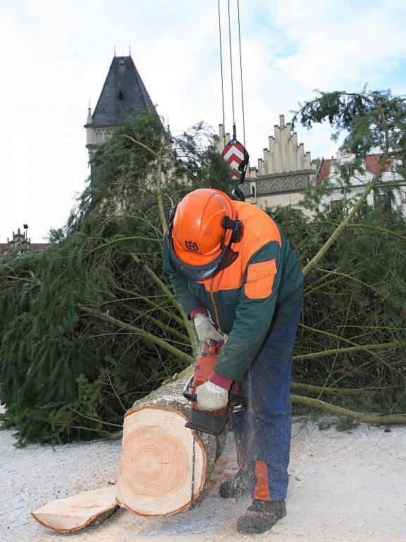 Táborský vánoční strom – 13 metrů vysoká douglaska tisolistá z Opařan, včera dorazil na své místo, které má tradičně na Žižkově náměstí.