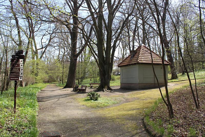 Táborská botanická zahrada už kvete.