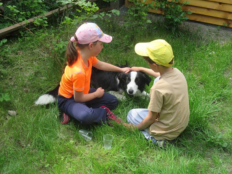 Dětská liga Táborska tuto sobotu pořádala již třetí ročník orientačního závodu v lese kolem Plánských pískoven.