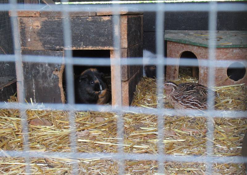 Návštěvník může v arboretu obdivovat evropské a cizokrajné dřeviny. Hlavní výzkumný program představuje užitkové rostliny. Zahrada je volně přístupná bez výběru vstupného.