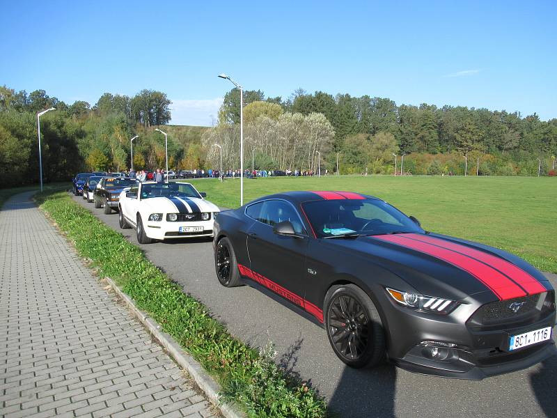 V neděli 13. října z táborského areálu Komora vyjeli účastnici Charitativního srazu mustangů a US Cars na projížďku do Bechyně.