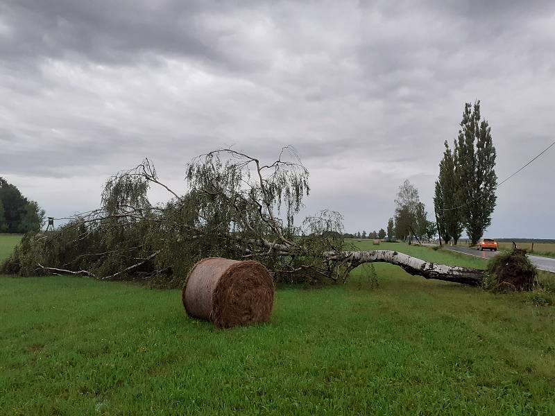 Ze středy 29. na čtvrtek 30. července ničivý živel udeřil i na Soběslavsku, mezi obcemi Komárov a Svinky poničil topolovou alej u komunikace i blízký les.