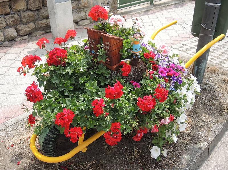 Ve Veselí nad Lužnicí kreativní zahradníci a zahradnice opět soutěží o nejkrásnější Veselé kolo, zapojit se mohou i návštěvníci.