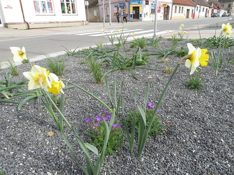 Cílem projektu revitalizace předprostoru Základní školy E. Beneše a gymnázia v Soběslavi je zvýšit bezpečnost dopravy, rekonstrukce veřejného osvětlení, odvodnění ploch a realizace sadových úprav.