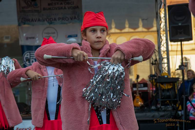 Rozsvícení vánoční stromečku ve Veselí nad Lužnicí