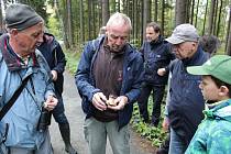 Poslední letošní mykologická vycházka s mykologem Pavlem Špinarem za běžnými i vzácnými houbami kolem Velmovic u Chýnova směrem na Dubské vrchy se uskutečnila v neděli 15. října dopoledne.
