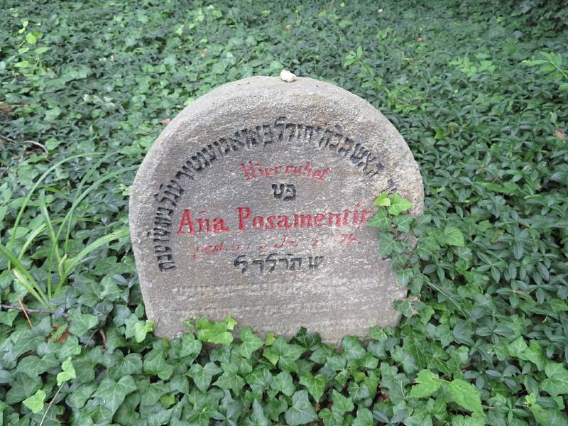 Židovský hřbitov v Myslkovicích.