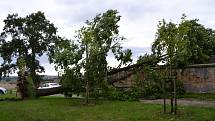 Ve Veselí nad Lužnicí noční vichřice vyvracela stromy a odnesla i půlku střechy supermarketu Tesco.