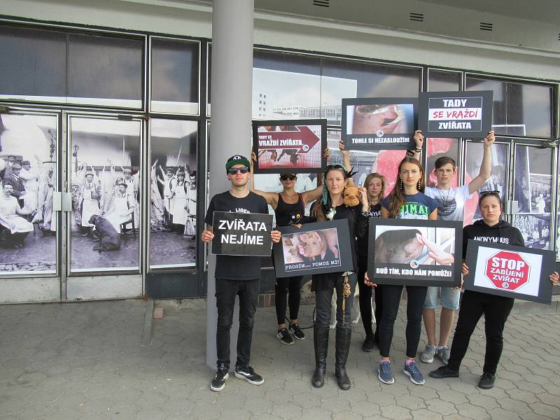 Mladí lidé se snažili pomocí transparentů oslovit veřejnost před jatky v Plané.