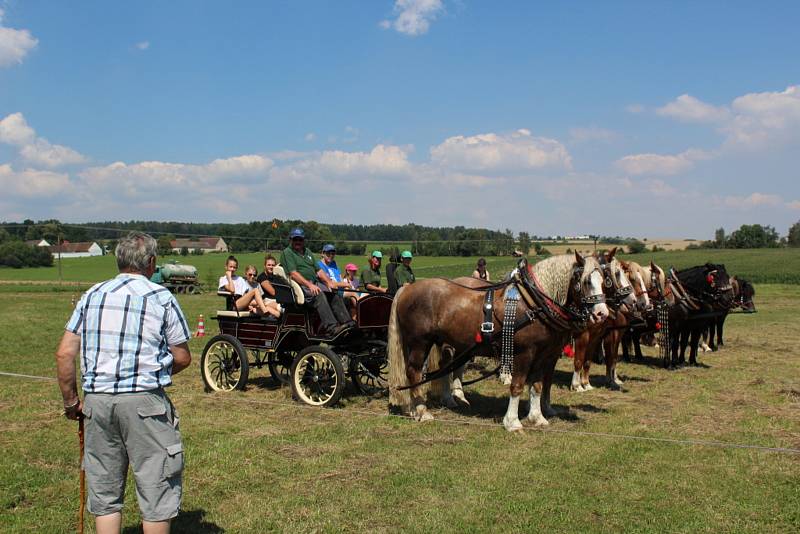 Ve Vescích u Soběslavi se konal 8. srpna 2020 již 17. ročník Formanské jízdy.