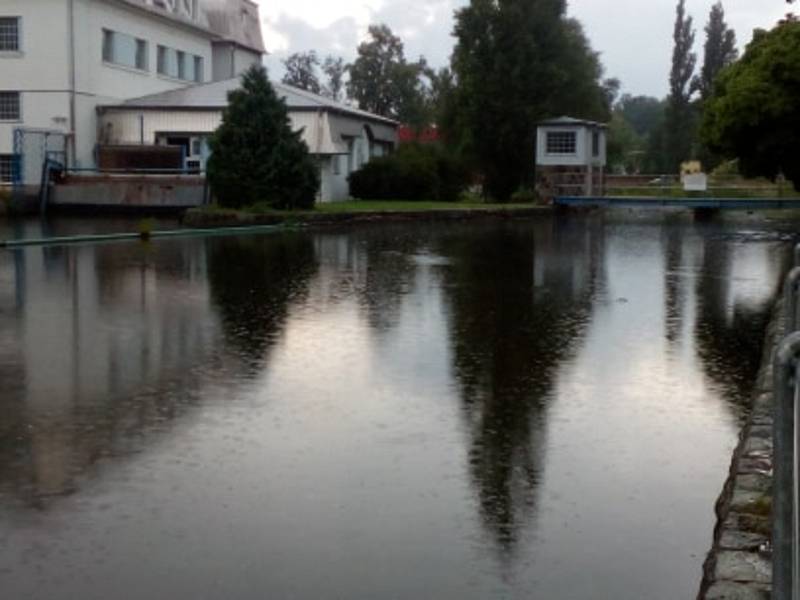 Aktuální stav řek Nežárky a Lužnice ve Veselí nad Lužnicí.