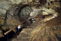Chýnovská jeskyně a její obyvatelé.