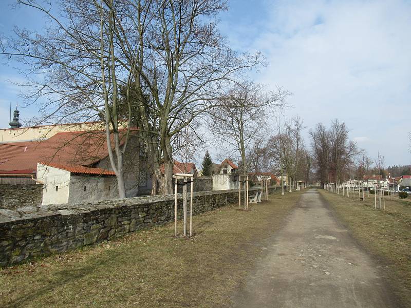 Piráti v Soběslavi na Promenádě hlídají stromy, na místě lze podepsat i petici Nechme stromy žít.