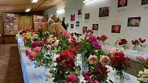 Čtvrtý ročník výstavy růží v Táboře.
