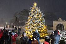 Vánoční strom v Nových Dvorech u Opařan.