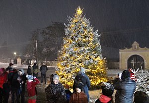 Vánoční strom v Nových Dvorech u Opařan.