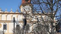 Místní ve Veselí nad Lužnicí mohli ozdobit lípu svobody a kochat se obřími dekoracemi.