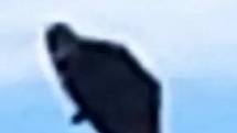 Muž na Táborsku zachytil podivný objekt na obloze