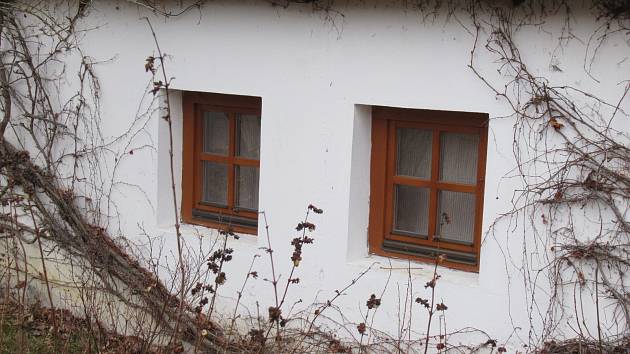 Mladý muž v domku u Návesního rybníka v Třebišti brutálním způsobem zavraždil svou partnerku. Podle sousedů však pár nebyl zcela nekonfliktní ani dříve. Dívce podle zjištění Deníku nebylo ani třicet let.