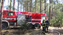 Lesní porost hořel ve středu 8. dubna mezi obcemi Myslkovice a Brandlín na Táborsku.