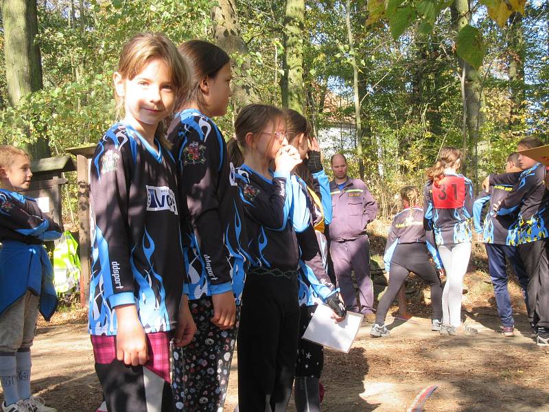 Branný závod požárnické všestrannosti pořádali společně Okresní sdružení hasičů Tábor a dobrovolní hasiči z Mladé Vožice, Bělče, Vilic a celého mladovožického okrsku.