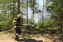 Lesní porost hořel ve středu 8. dubna mezi obcemi Myslkovice a Brandlín na Táborsku.