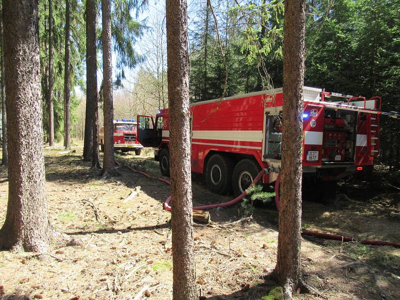 Lesní porost hořel ve středu 8. dubna mezi obcemi Myslkovice a Brandlín na Táborsku.