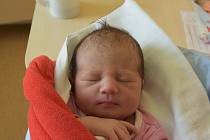 Leontínka Habichová z Hořepníku. Narodila se 18. dubna v 6.41 hodin. Vážila 2710 gramů, měřila 47 cm a doma už má sourozence Terezku (11) a Miloška (5).