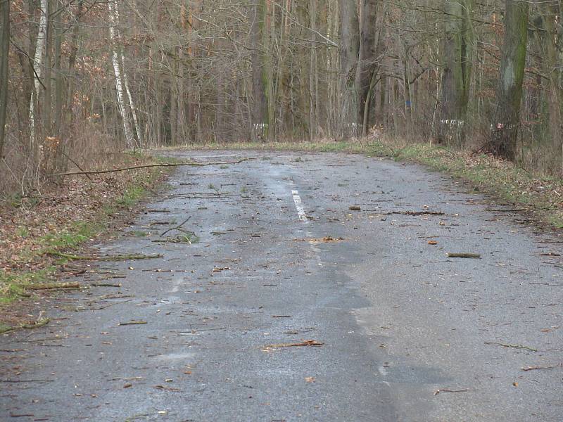 Od pondělního večera přibyly další škody i na Táborsku, v Plané nad Lužnicí orkán strhl fasádu bývalé herny, kolem řeky Lužnice směrem na Roudnou i v lese mezi Kvasejovicemi a Krotějovem jsou polámané a vyvrácené stromy.