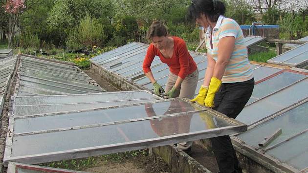 Při práci v zahradnictví vydáte množství energie - Táborský deník
