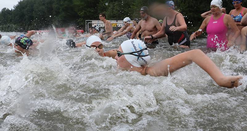 Plavecký závod Hodinovka ve Veselí nad Lužnicí