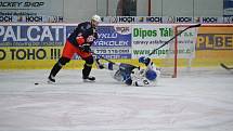 HC Tábor - David Servis České Budějovice 6:3.