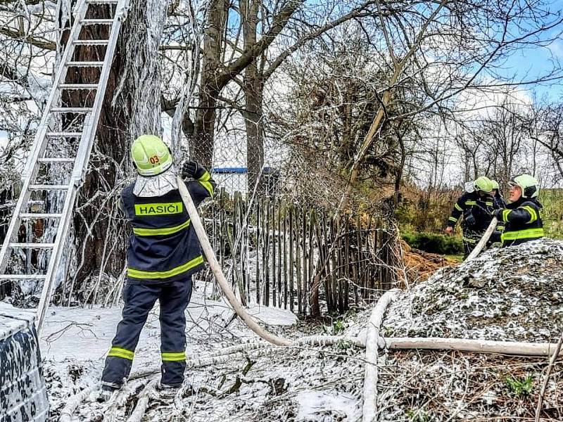 Hasiči pomocí pěny likvidovali požár kompostu a stromu.