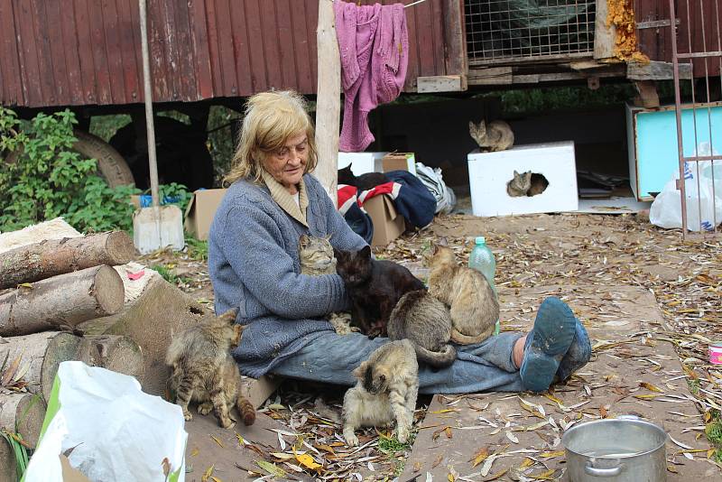 Jana Kaprálová bydlí na kraji Chýnova v rozpadlé maringotce s desítkami koček. Mají propadnout státu.