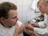 Očkování proti prasečí chřipce. Ilustrační foto.