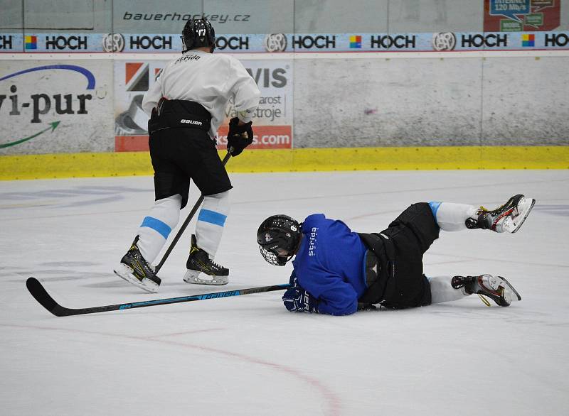 Extraligoví dorostenci HC Tábor už se potí na ledě.