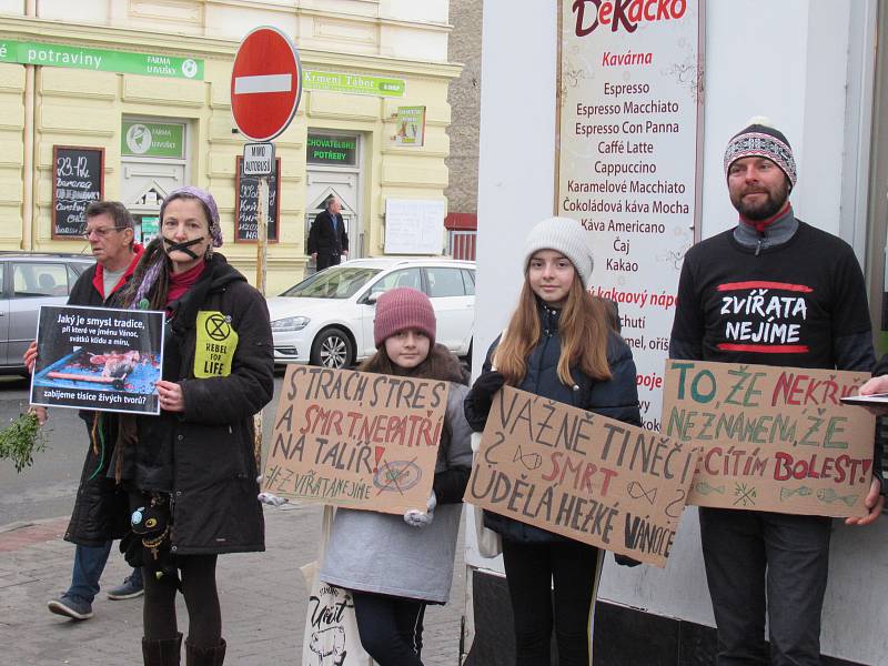 UPOZORŇUJÍ. Na Vánoce lidé zabijí tisíce ryb.